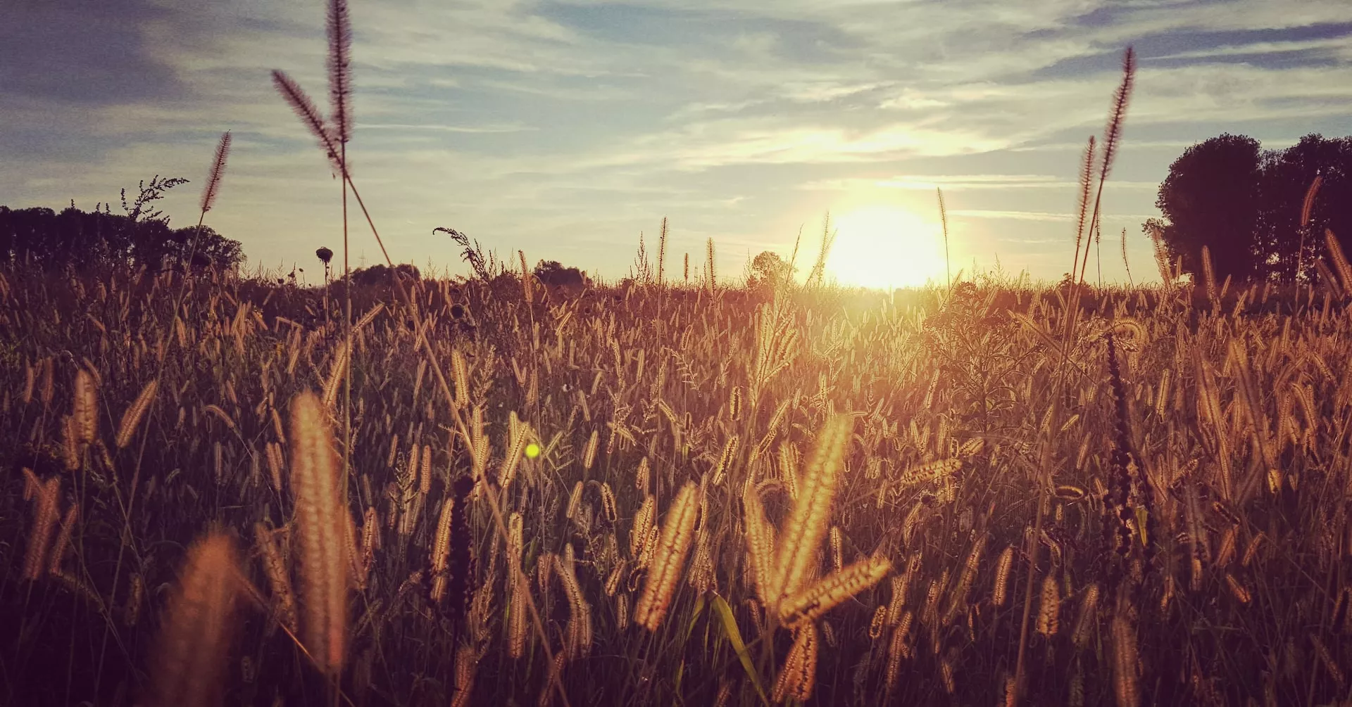 CÓMO ESTARÁ EL CLIMA HOY JUEVES